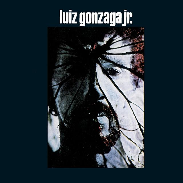 Coleção de Vinil